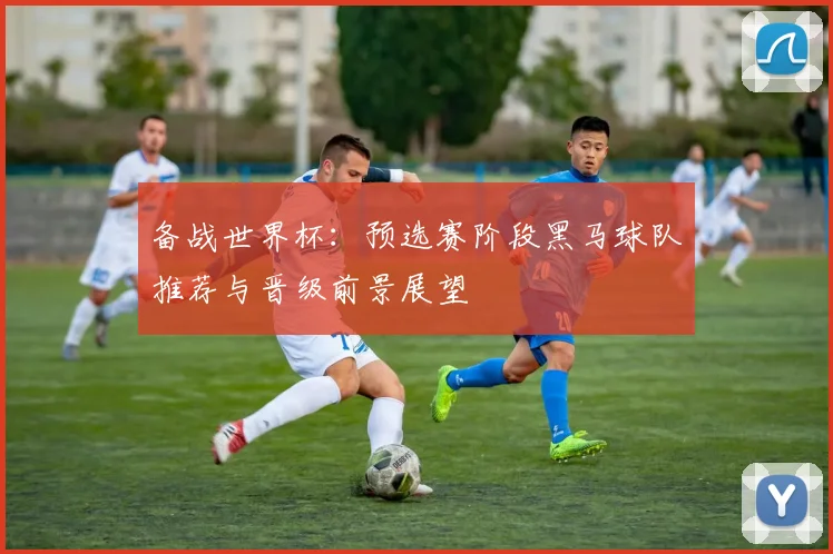 备战世界杯:预选赛阶段黑马球队推荐与晋级前景展望