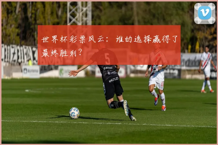 世界杯彩票风云:谁的选择赢得了最终胜利?