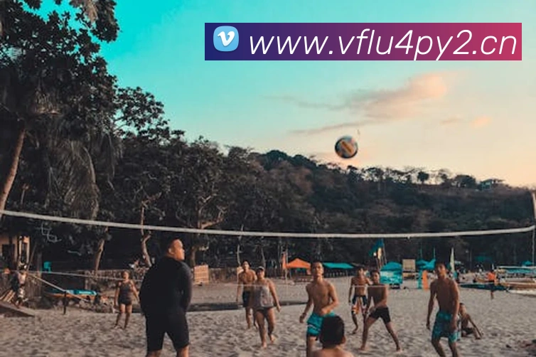 九游体育平台官网发展历程